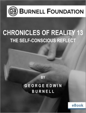 Chronicles Of Reality 13