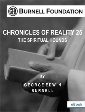 Chronicles Of Reality 25