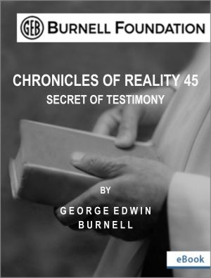 CHRONICLES OF REALITY 45